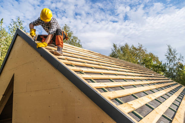 Best Metal Roofing Contractor  in Waverly, TN