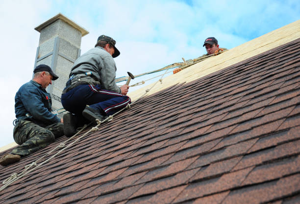 Best Best Roofing Contractors  in Waverly, TN